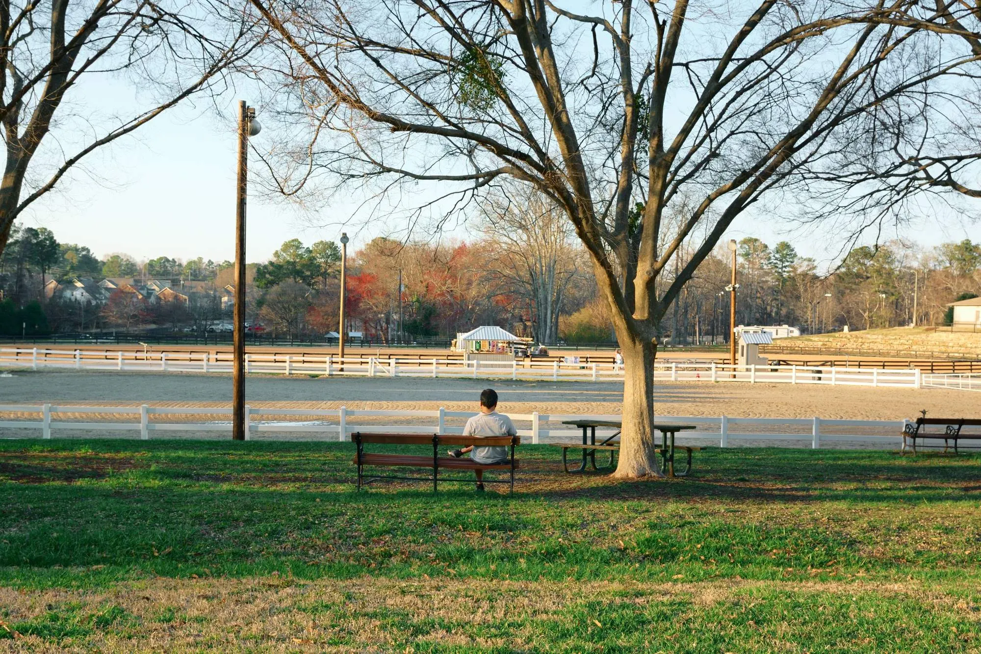 A city park with a person resting on a bench.
